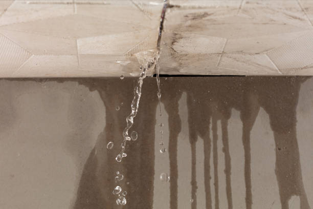 Professional Water Damage Inspection technician working in Millbrook, NY